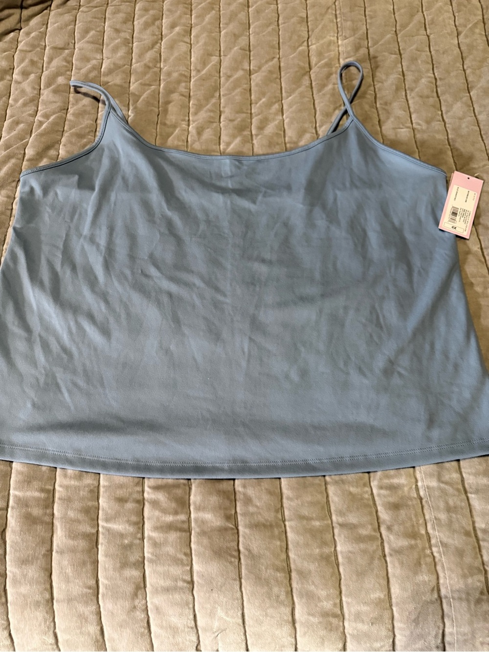 wild fable Blue Spaghetti Strap Cami